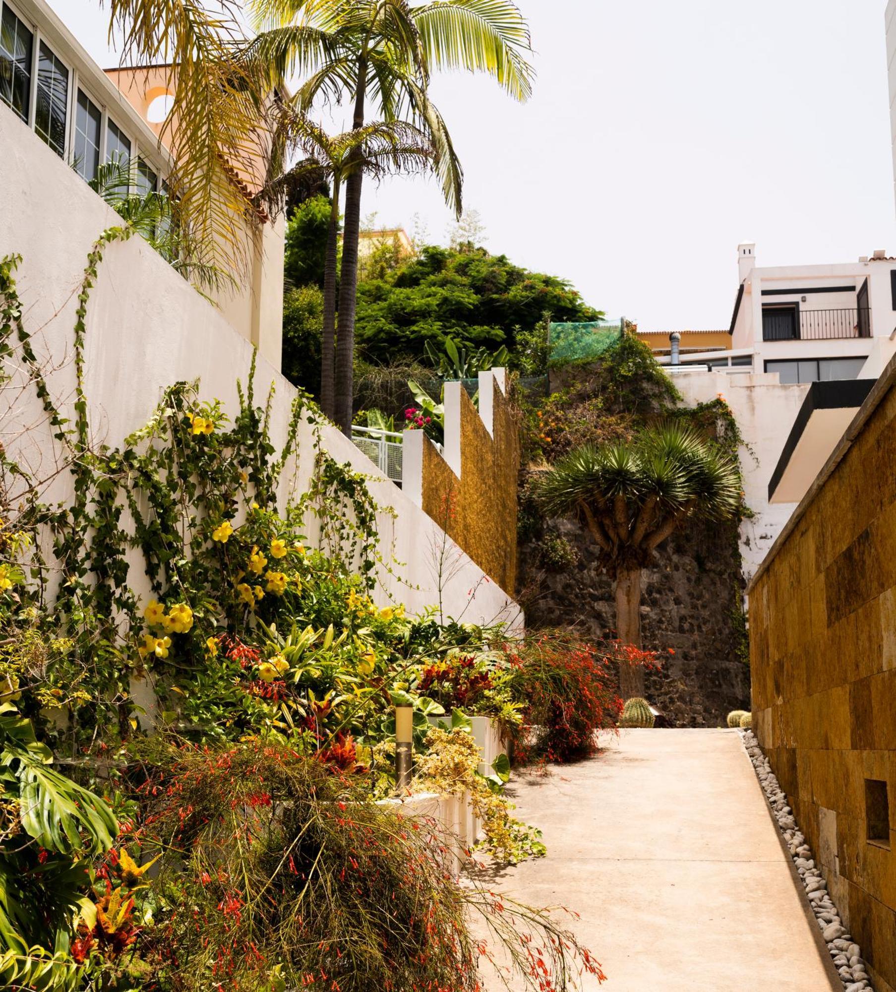 Villa Laurisilva Sauzal Exterior photo